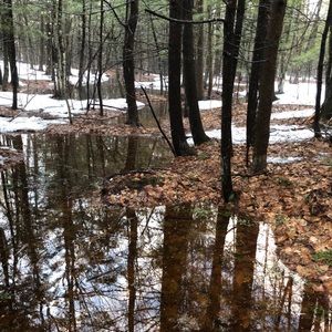 Meet your Posher, Freeman